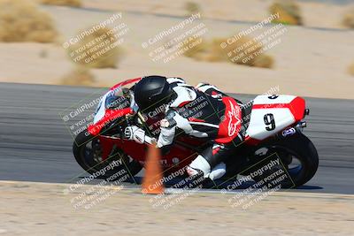 media/Feb-12-2022-SoCal Trackdays (Sat) [[3b21b94a56]]/Turn 12 Inside Speed Shots (11am)/